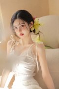 物一并移送