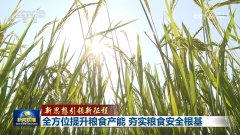 <b>通过引进8个丰登优良</b>