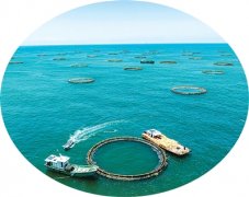 巩固“蓝色粮仓”劣势仍需不力